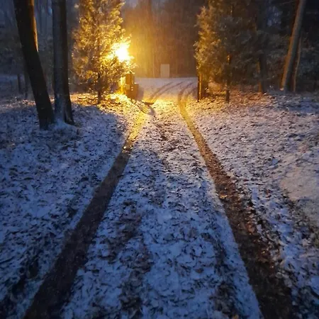 Semesterbostad Kokoon In 't